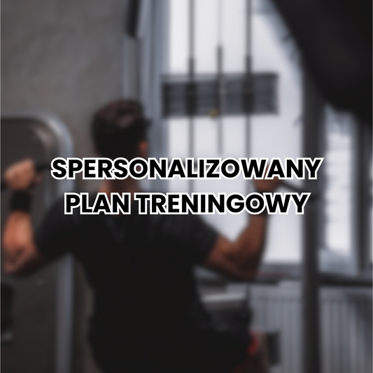 SPERSONALIZOWANY PLAN TRENINGOWY